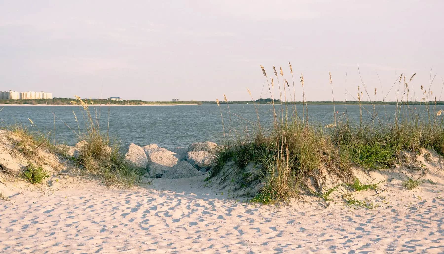 Sand path through the dunes and sea oats in soft evening light, New Smyrna Beach