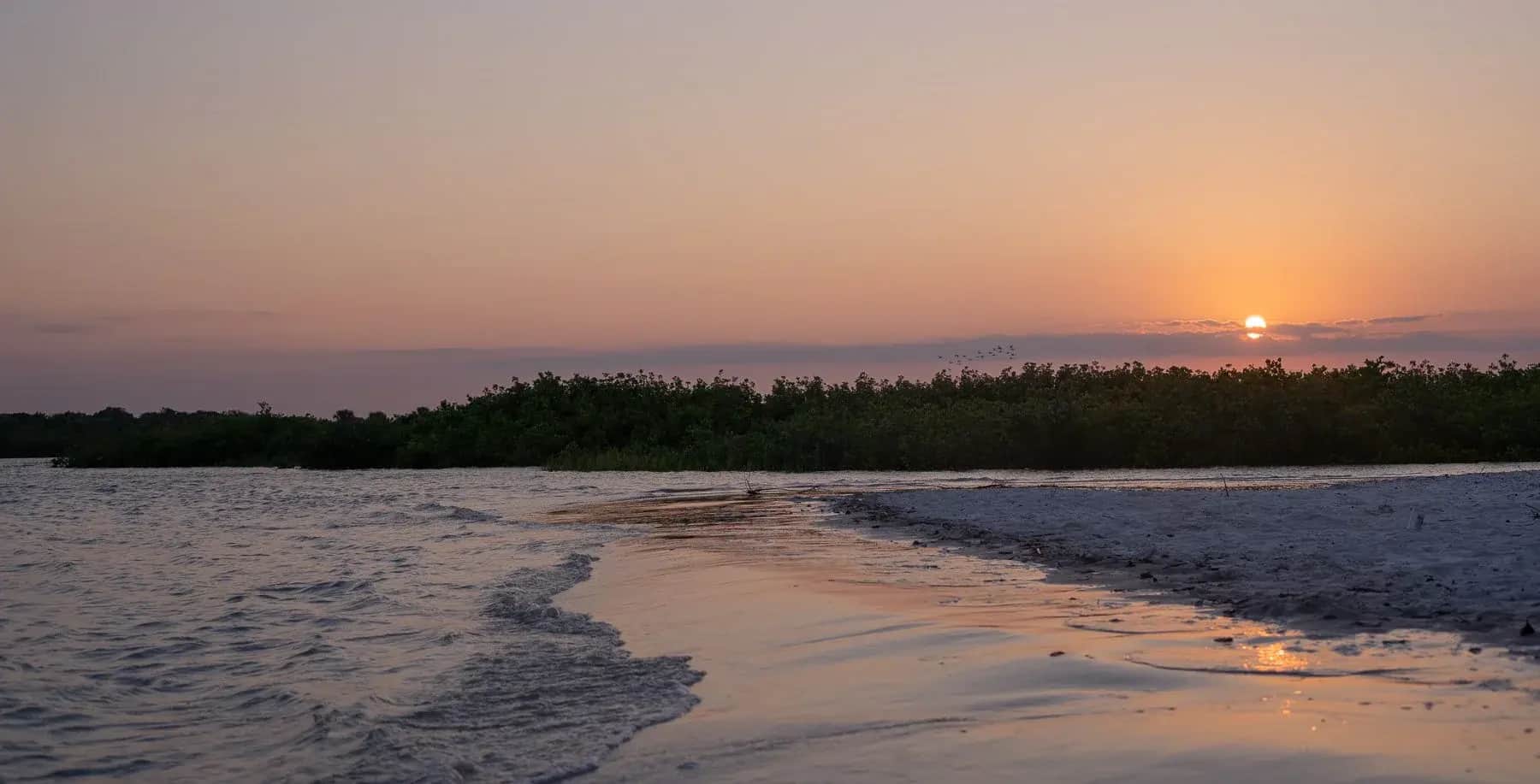 Sunset over the mangrove flats on the Indian River near New Smyrna Beach